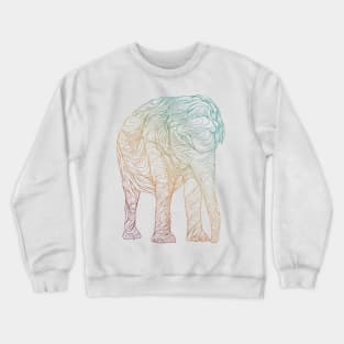 Lifespan Crewneck Sweatshirt